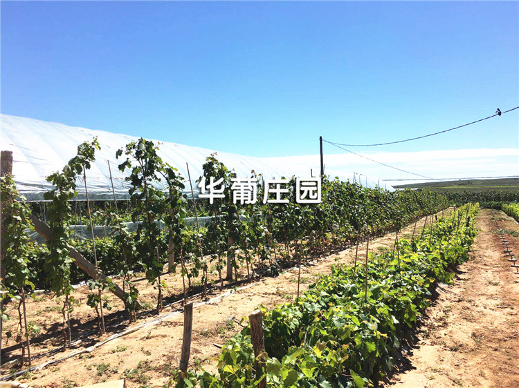 水密問題和防腐問題的考慮